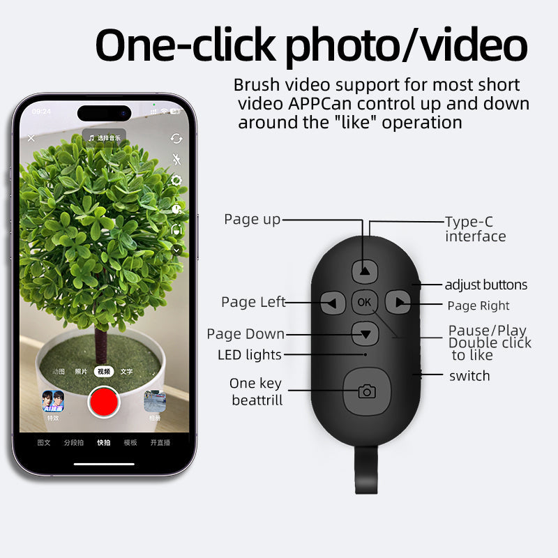 PocketDirector Pro Bluetooth Remote