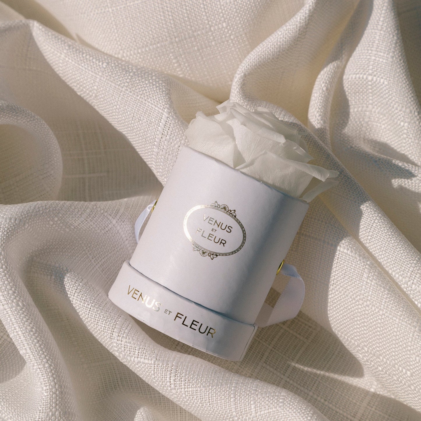 EternaBloom™ - Preserved Rose Box