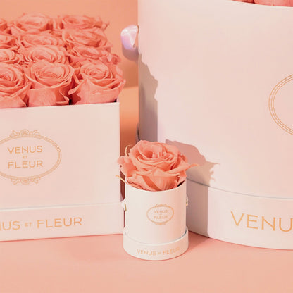 EternaBloom™ - Preserved Rose Box